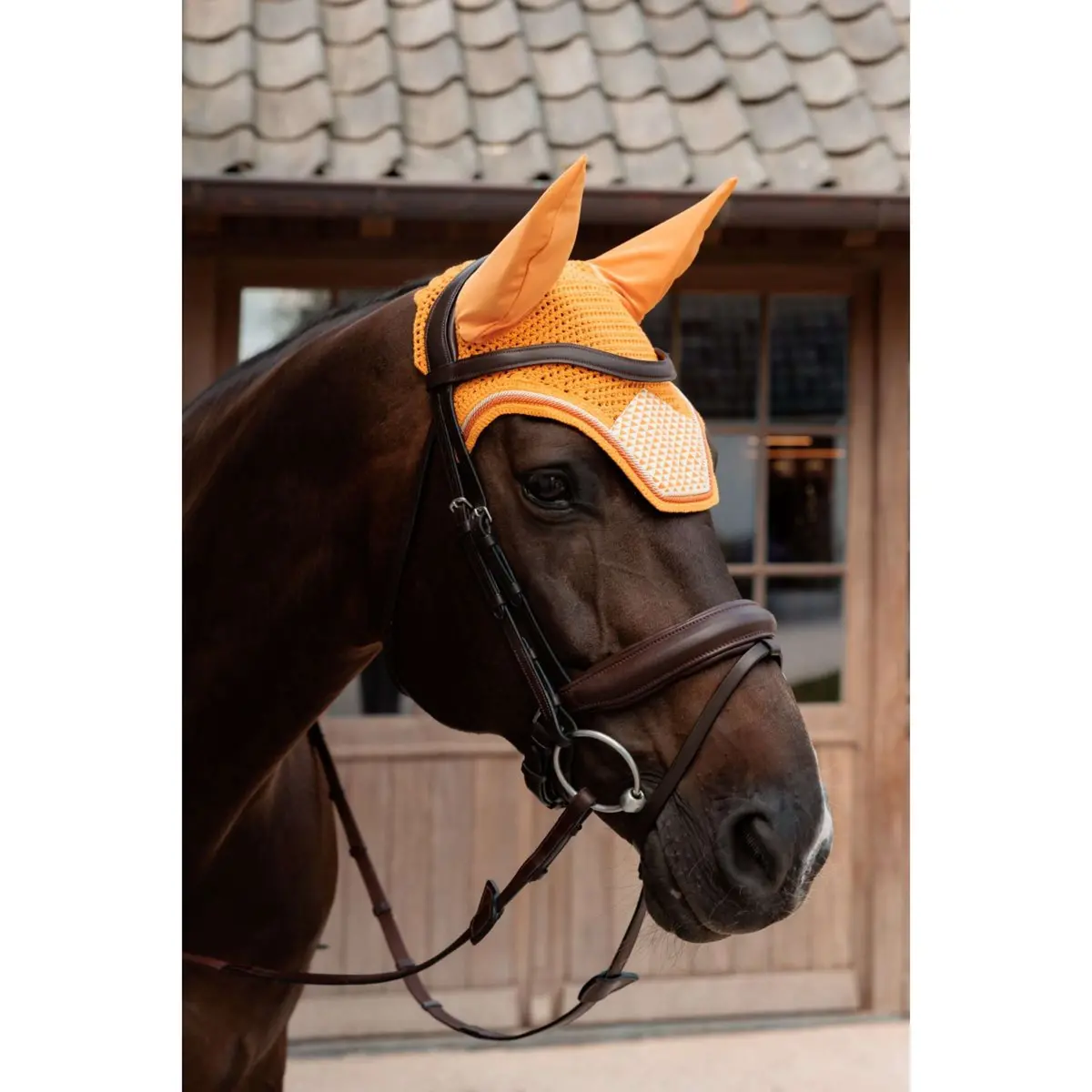 Kentucky Oornetje Wellington Velvet Flags Oranje 1