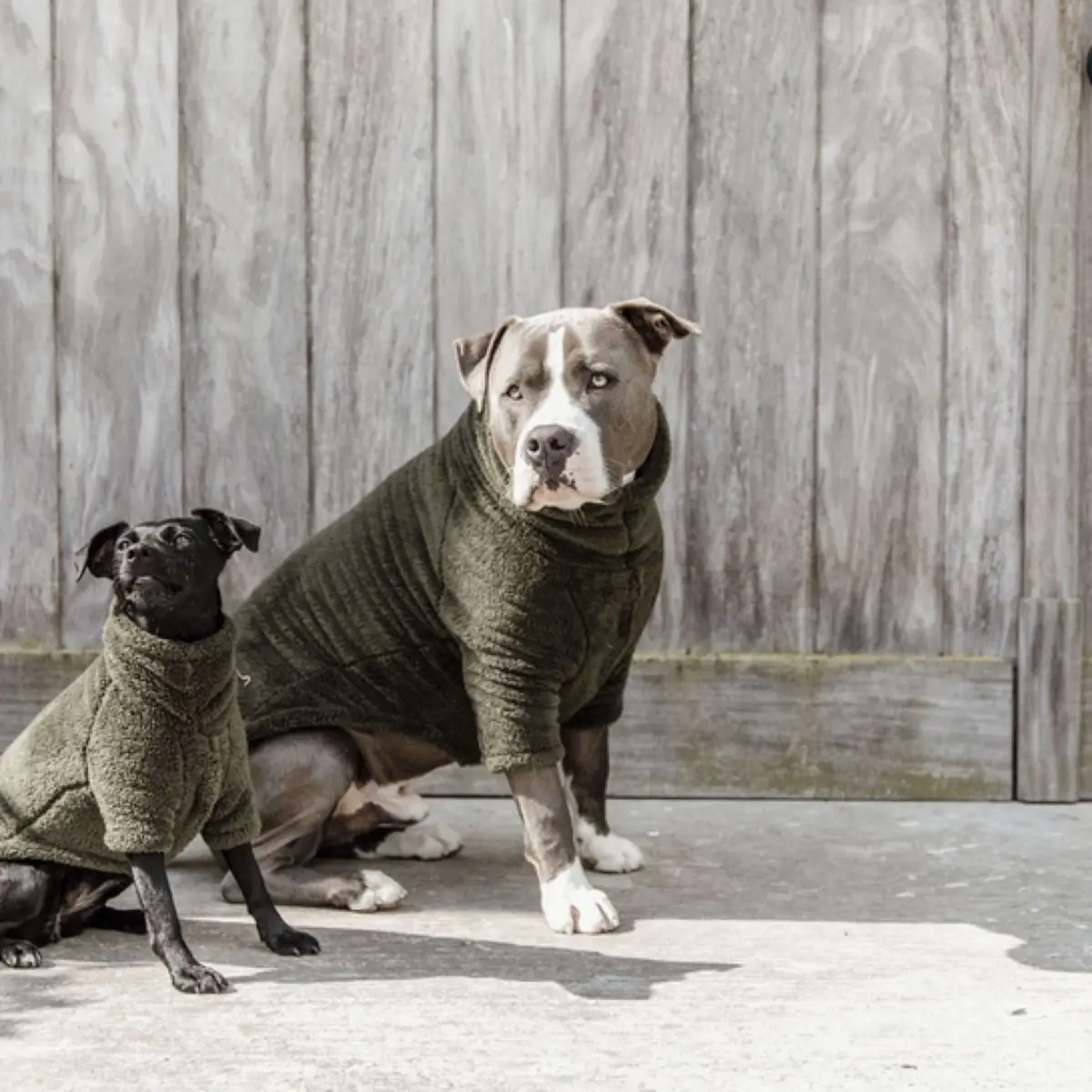 Kentucky Honden Sweater Teddy Fleece Pine Green 1