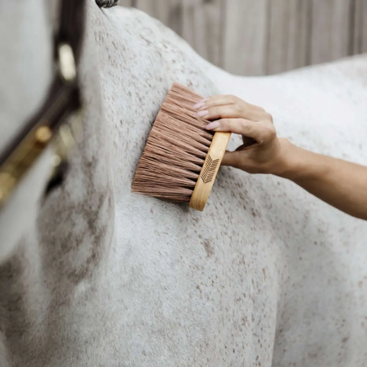 Grooming Deluxe By Kentucky Borstel Middle Bruin 1