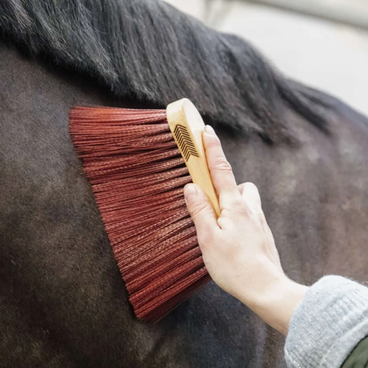 Grooming Deluxe By Kentucky Borstel Middle Long Bruin 1