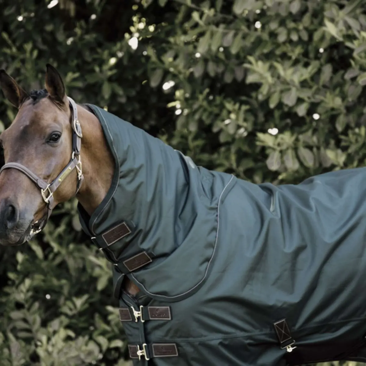 Kentucky Halsstuk All Weather 150G Donkergroen 1