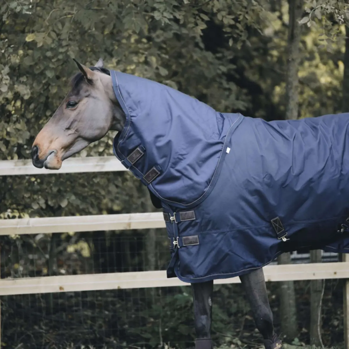 Kentucky Halsstuk All Weather 150G Navy 1