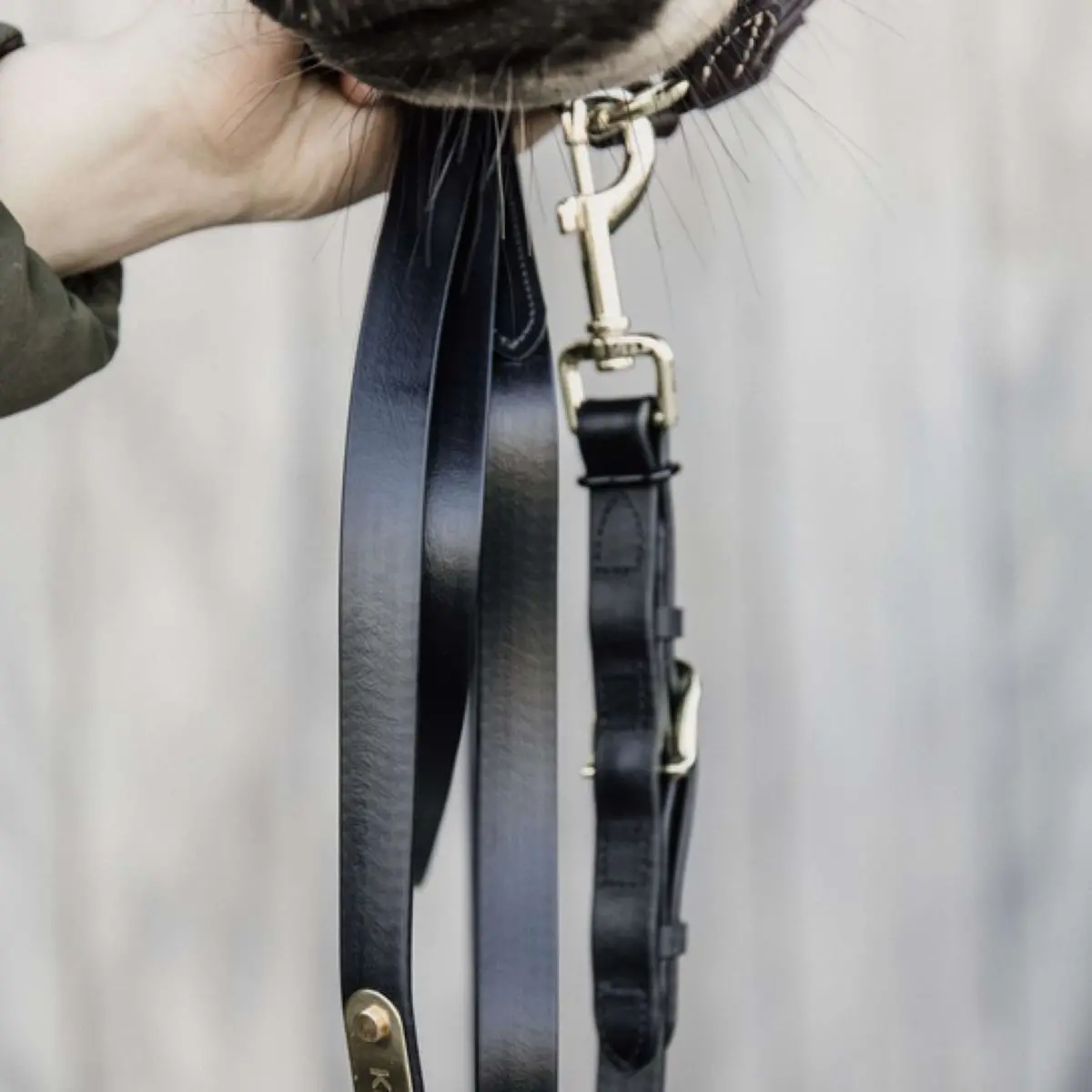 Kentucky Halstertouw Black 1
