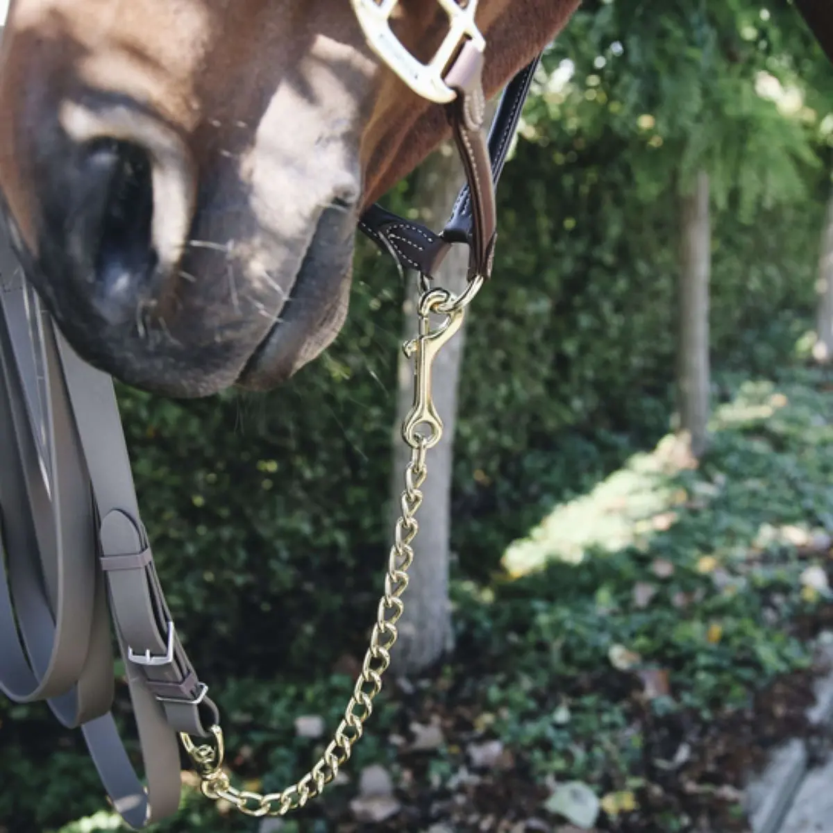Kentucky Hengstenketting 1