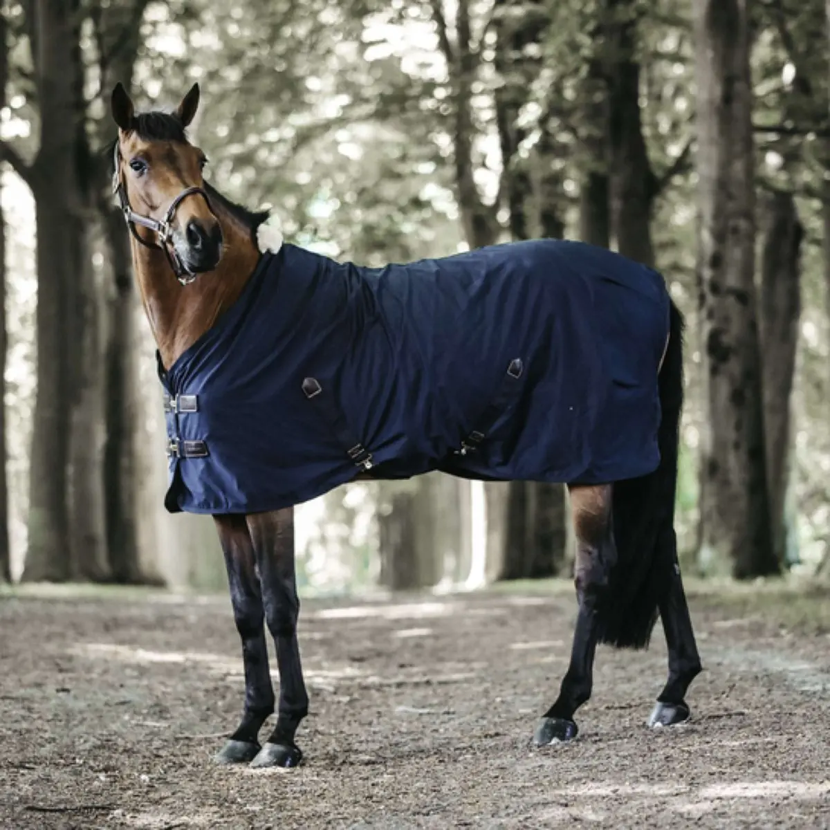 Kentucky Katoenen Deken Navy 1