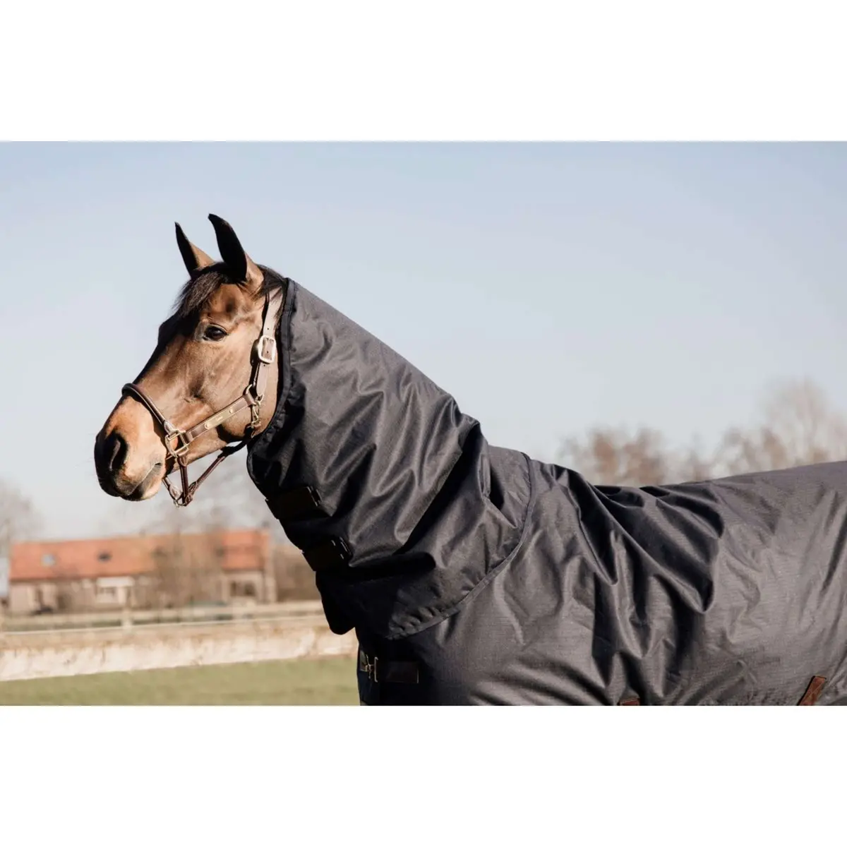 Kentucky Halsstuk All Weather Waterproof Classic 0G Navy 1
