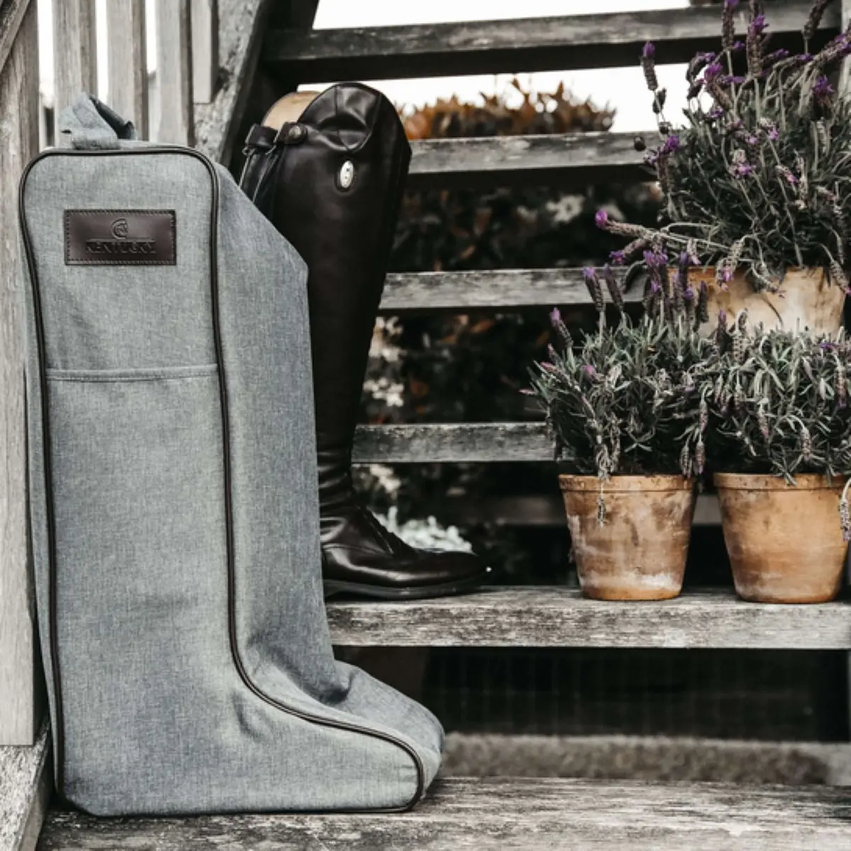 Kentucky Laarzentas Grey 1