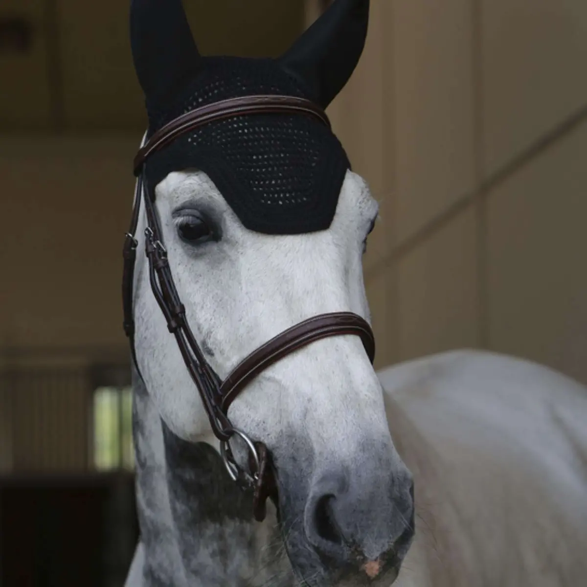 Kentucky Oornetje Wellington Soundless Zwart 1
