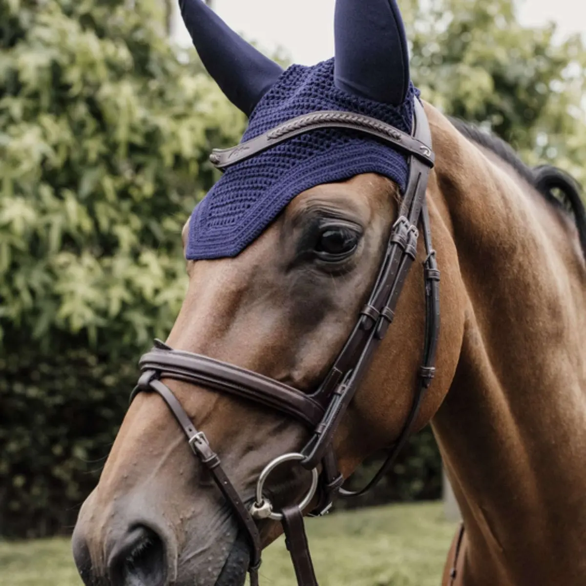 Kentucky Oornetje Wellington Soundless Dark Navy 1