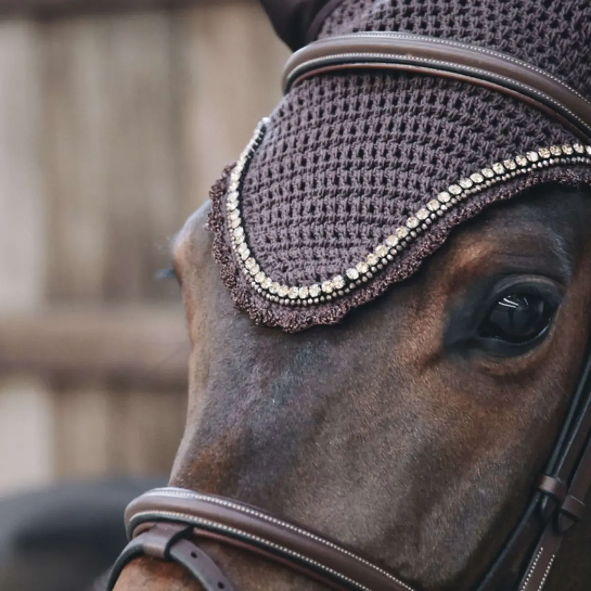 Kentucky Oornetje Long Stone & Pearl Brown 1