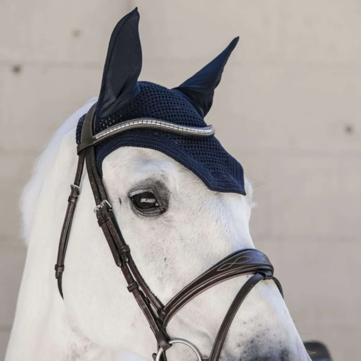 Kentucky Oornetje Wellington Dark Navy 1