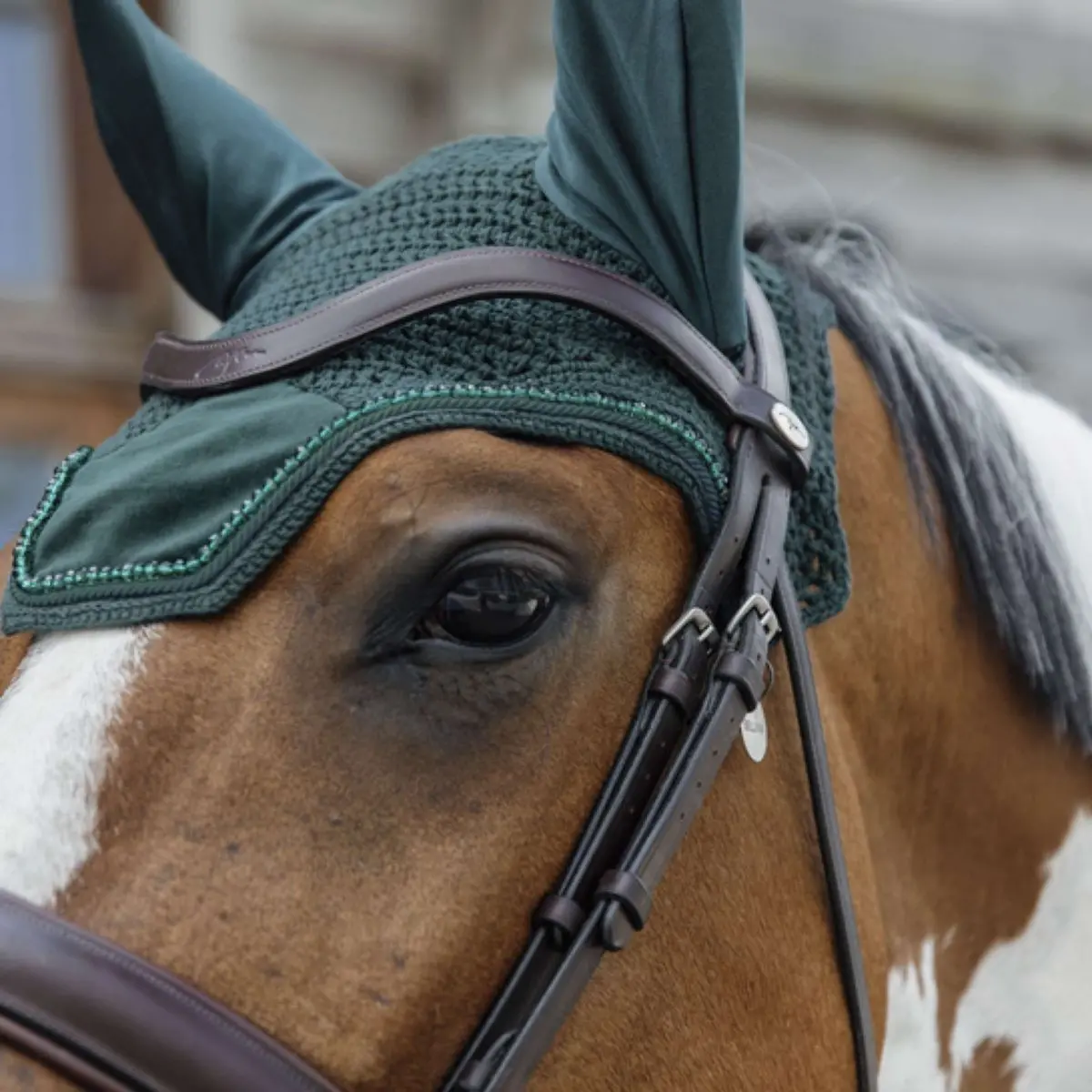 Kentucky Oornetje Wellington Velvet Pearls Pine Green 1