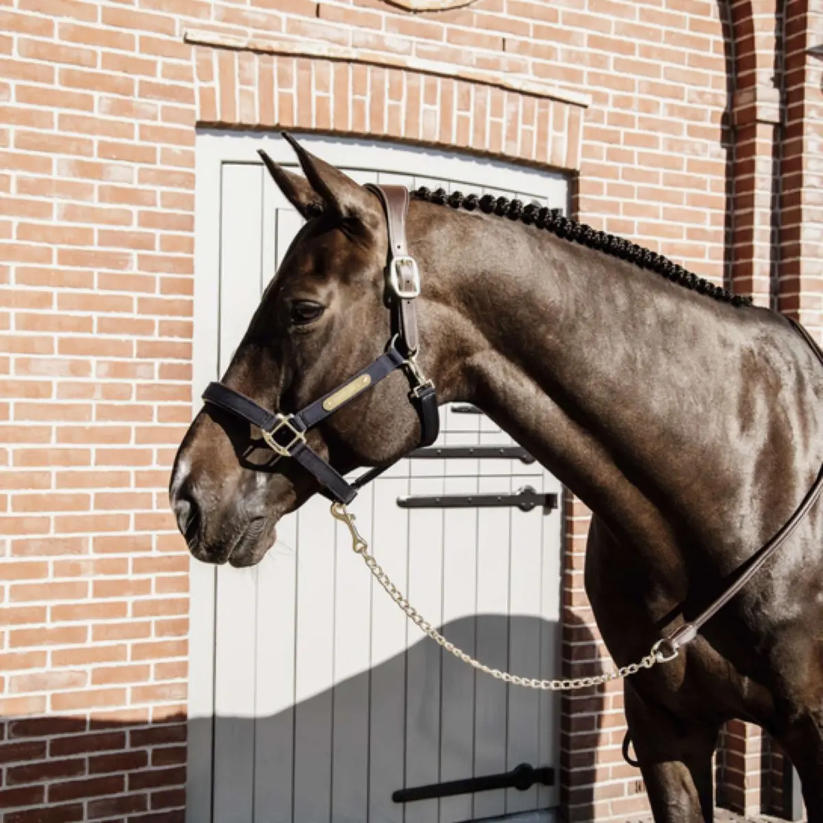 Kentucky Presentatielijn Leather Chain Bruin 1