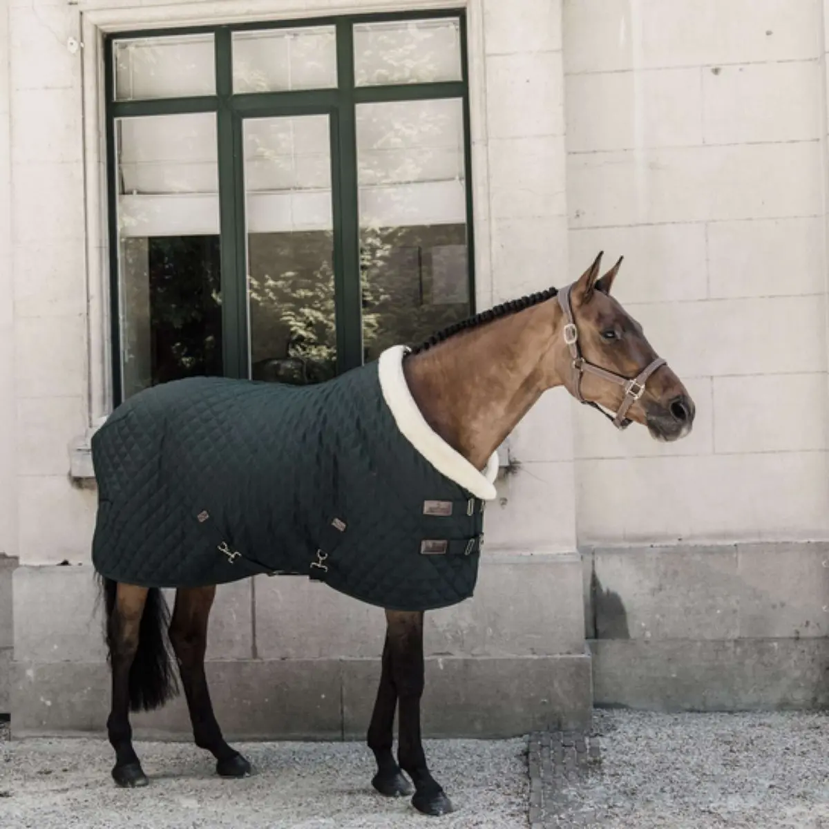 Kentucky Showdeken 160G Donkergroen 1