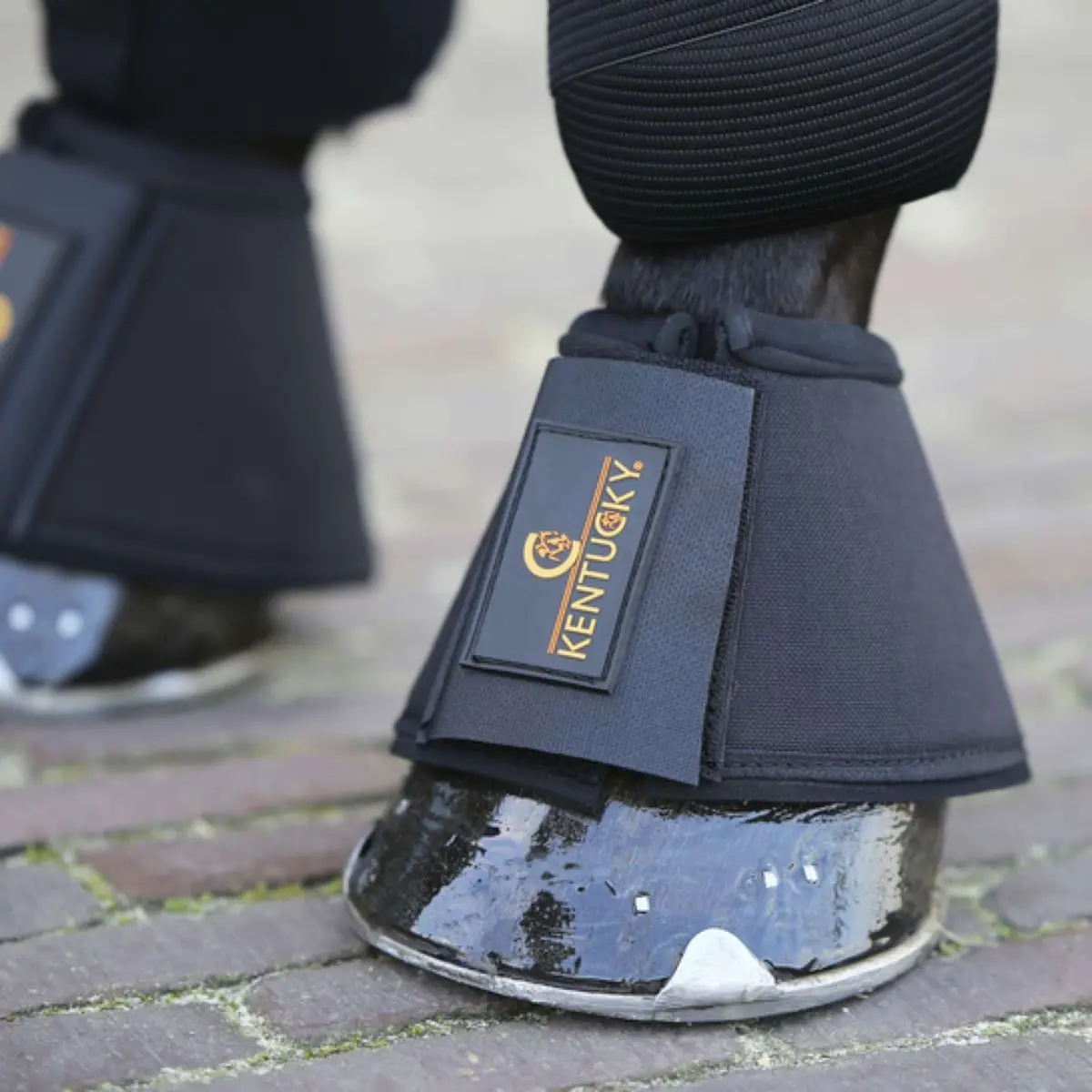 Kentucky Springschoenen Black 1