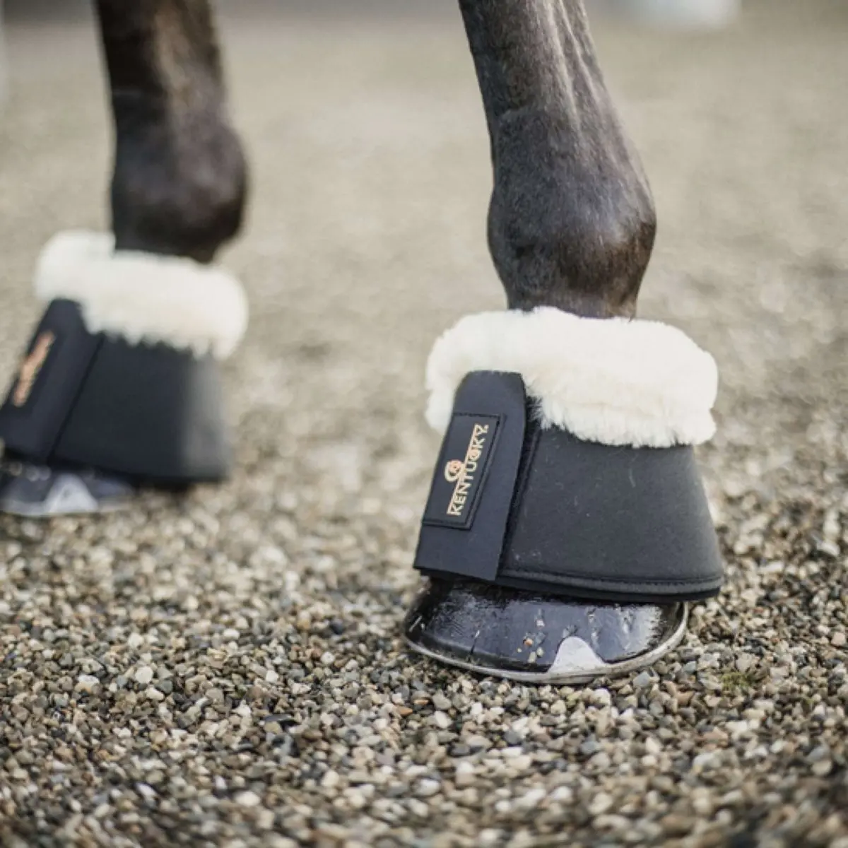 Kentucky Springschoenen Sheepskin Black 1