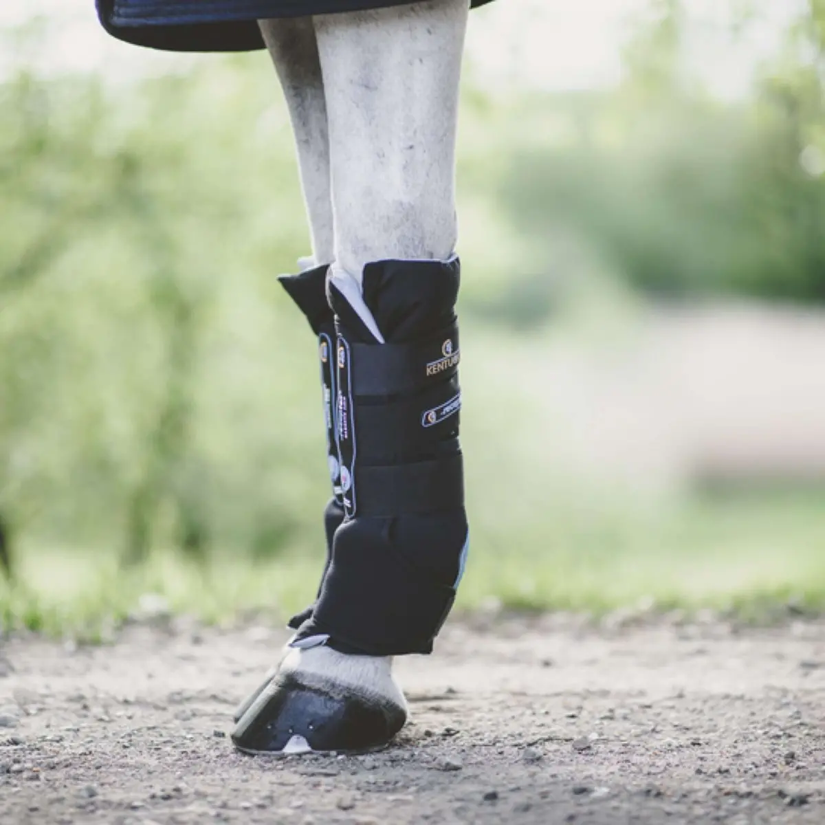Kentucky Stable Boots Recuptex Magnetic Black 1
