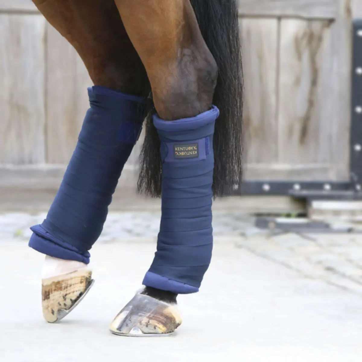Kentucky Stal Bandage Pad Navy 1