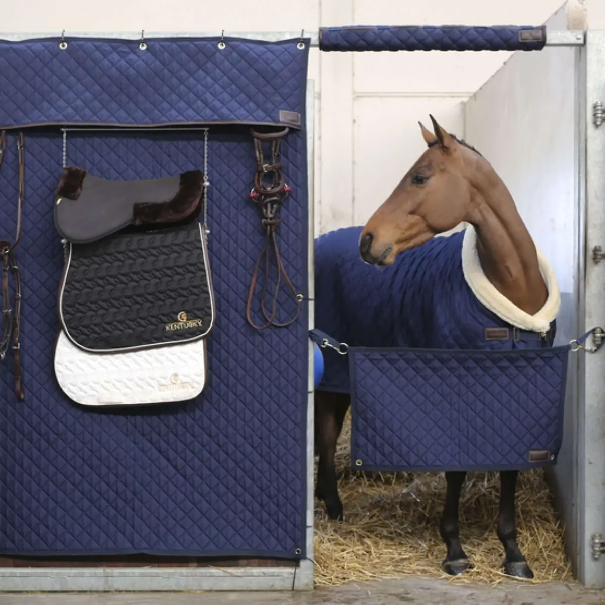 Kentucky Stable Curtain Navy 1