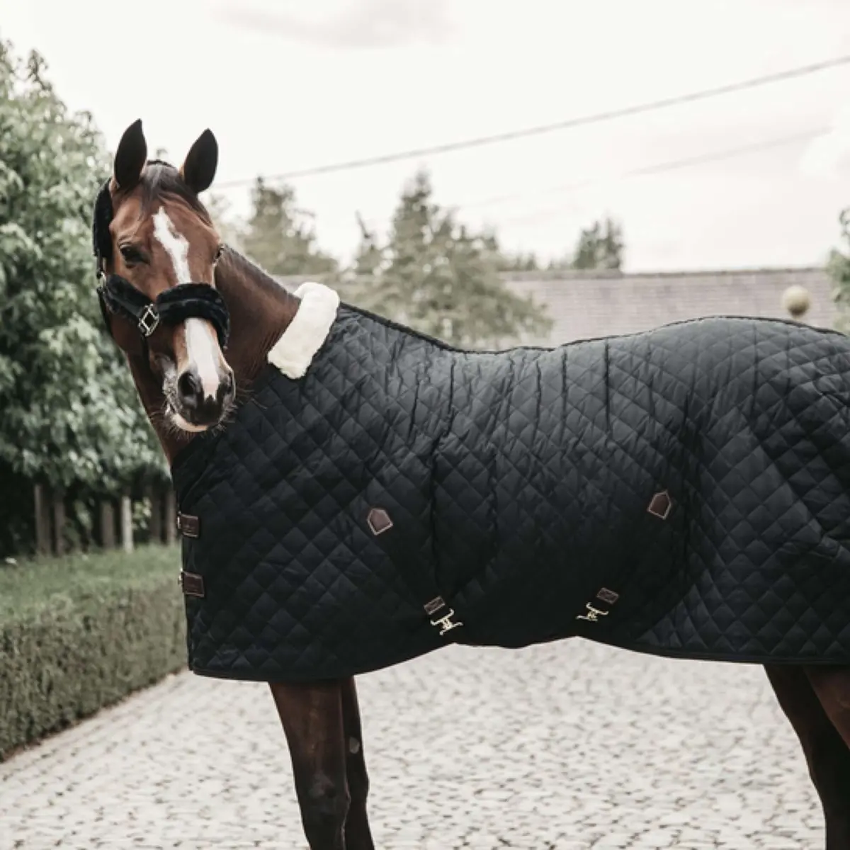 Kentucky Staldeken 400G Black 1