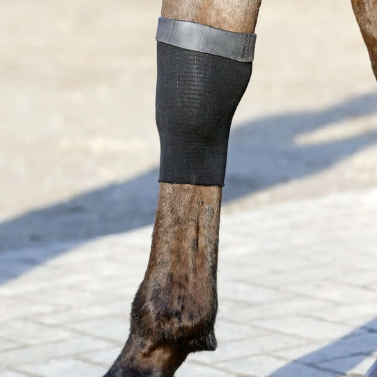 Kentucky Tendon Grip Gel Black 1