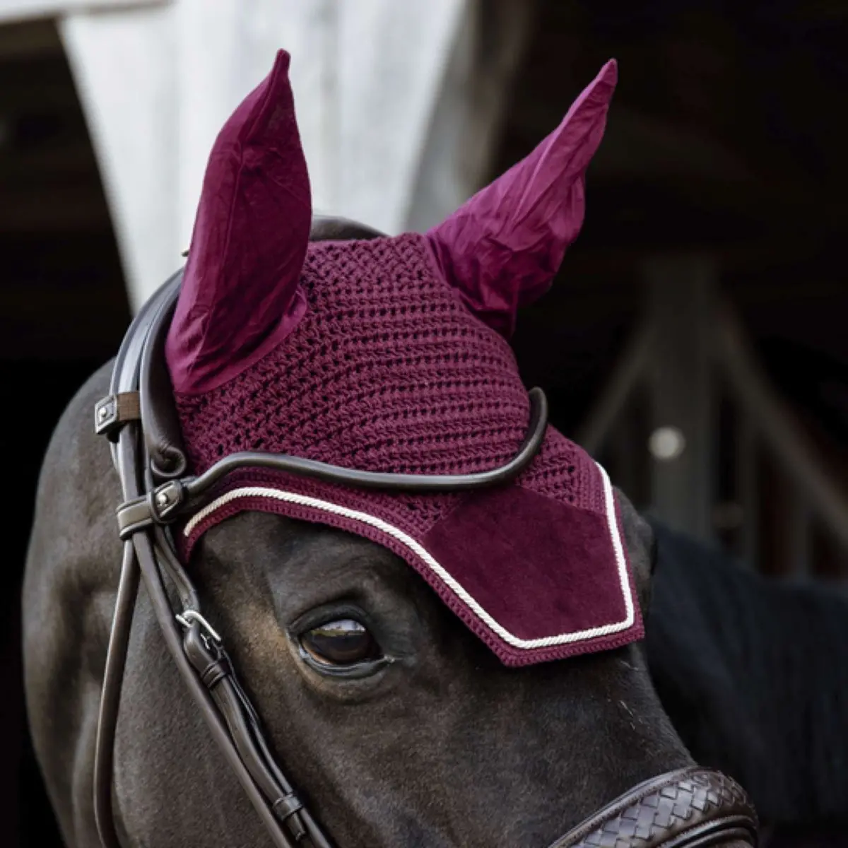 Kentucky Oornetje Wellington Velvet Bordeaux 1