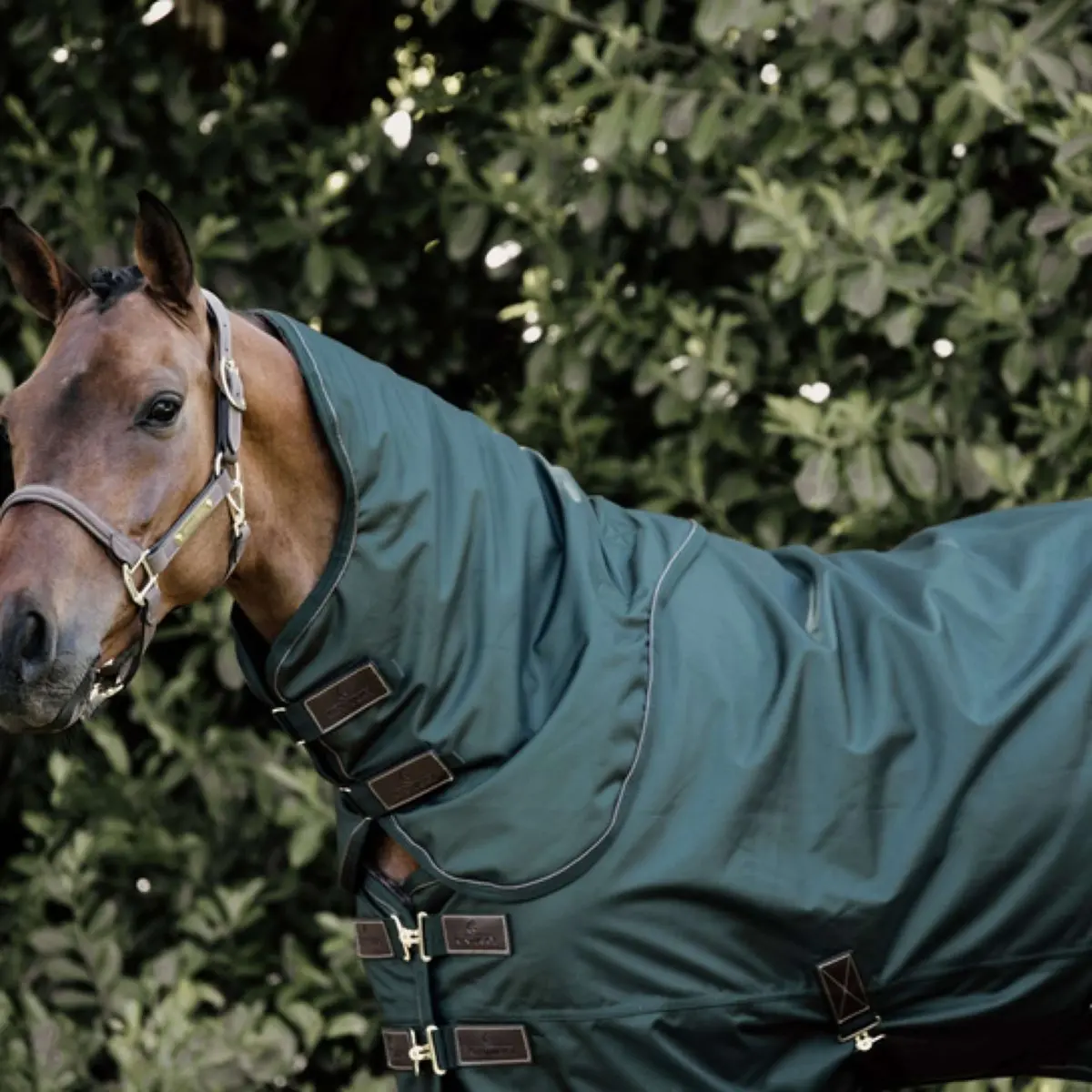 Kentucky Turnout All Weather 160G Donkergroen 1