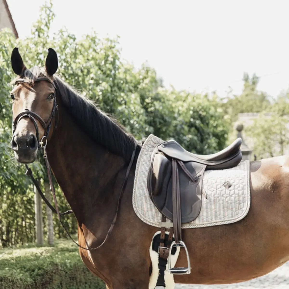 Kentucky Zadeldekje Pied-De-Poule Dressuur Beige 1