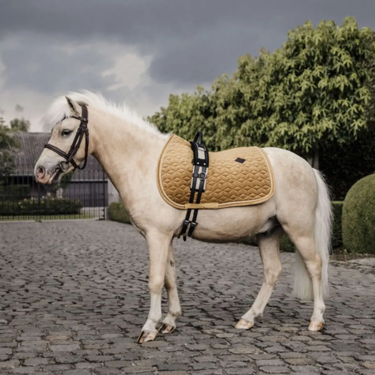 Kentucky Zadeldekje Velvet Mosterd 1