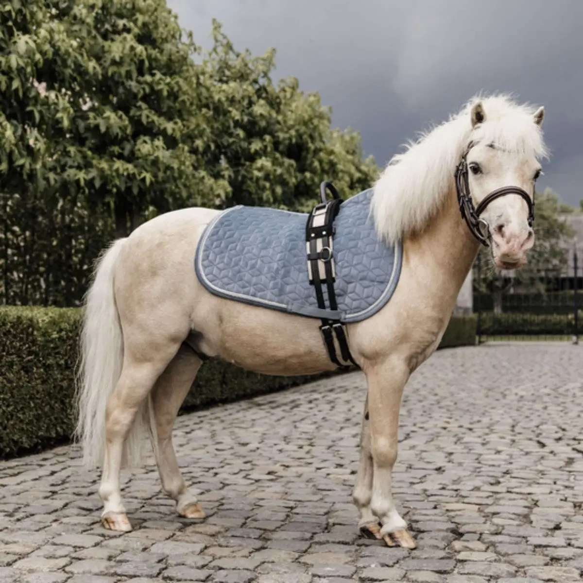 Kentucky Zadeldekje Velvet Lichtblauw 1