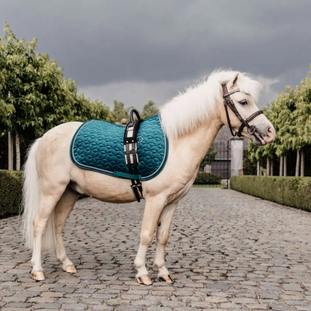 Kentucky Zadeldekje Velvet Emerald 1