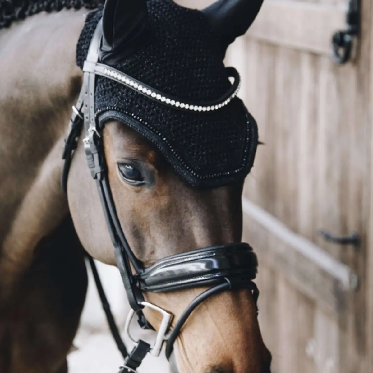 Kentucky Oornetje Wellington Glitter Soundless Black 1