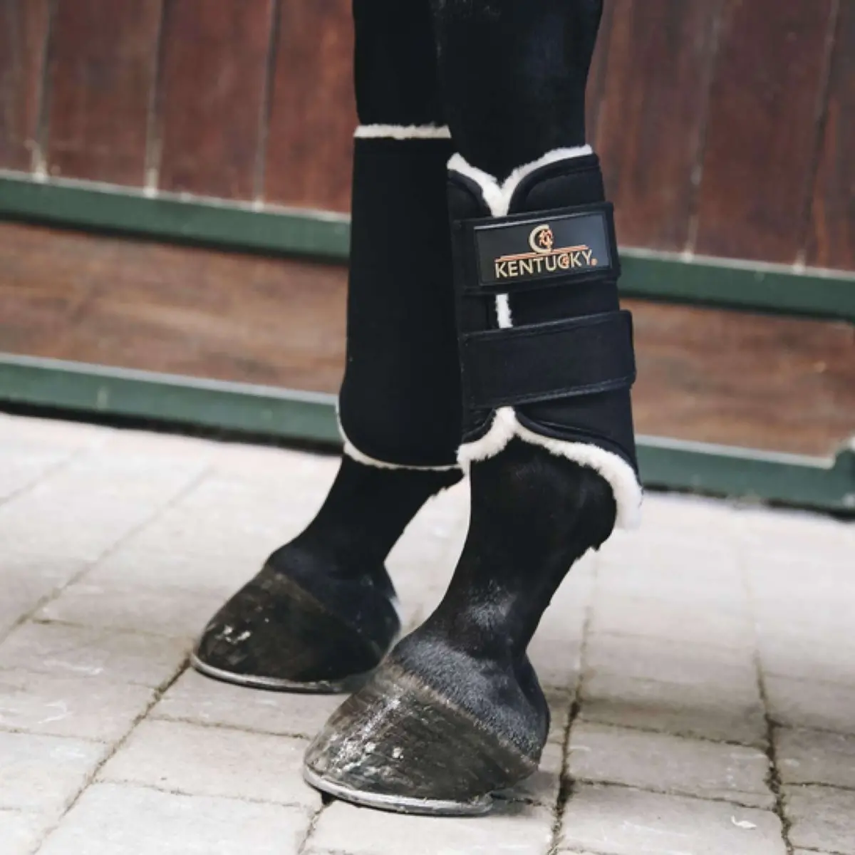 Kentucky Turnout Boots Solimbra Voorbenen Black 1