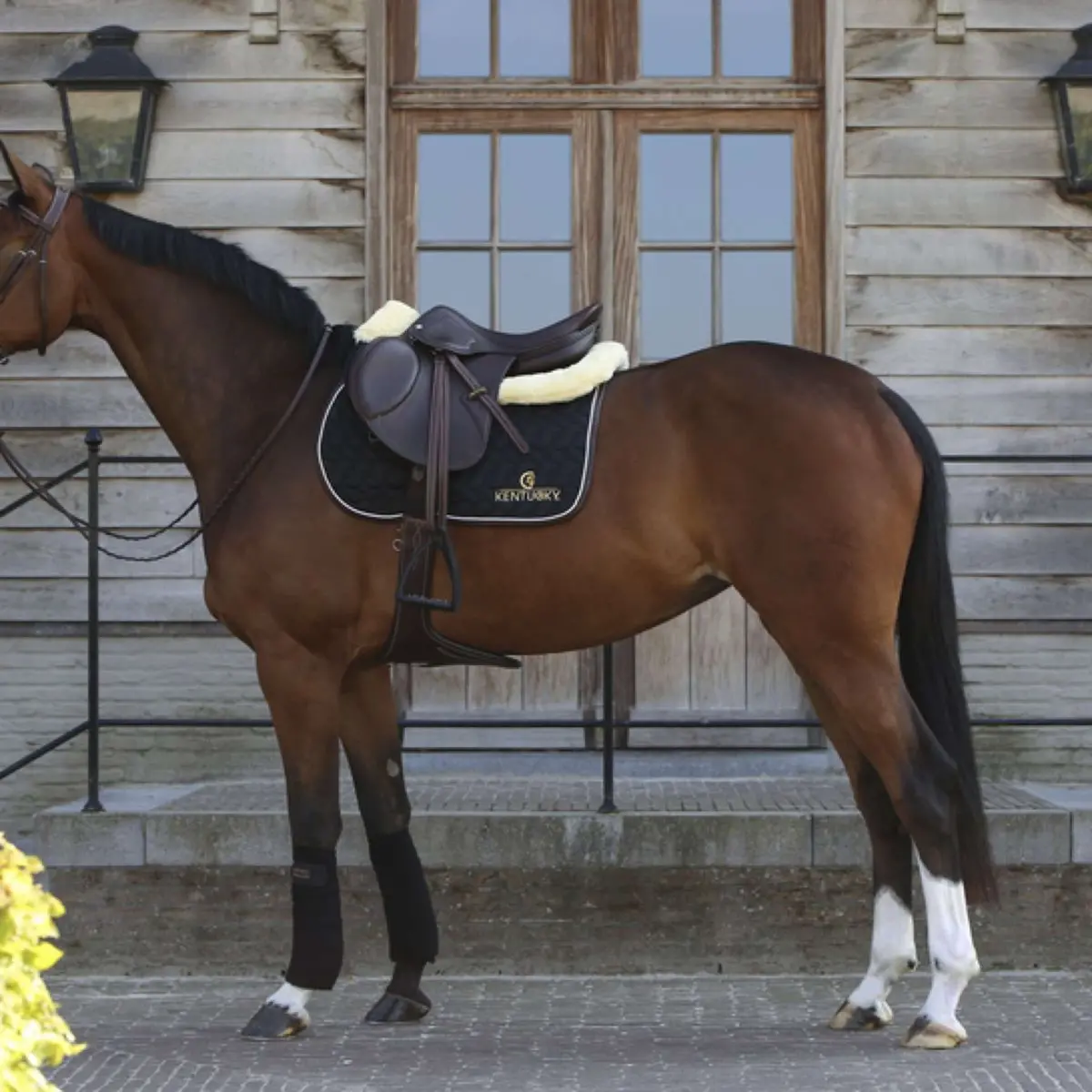 Kentucky Zadeldekje Black/White/Brown 1