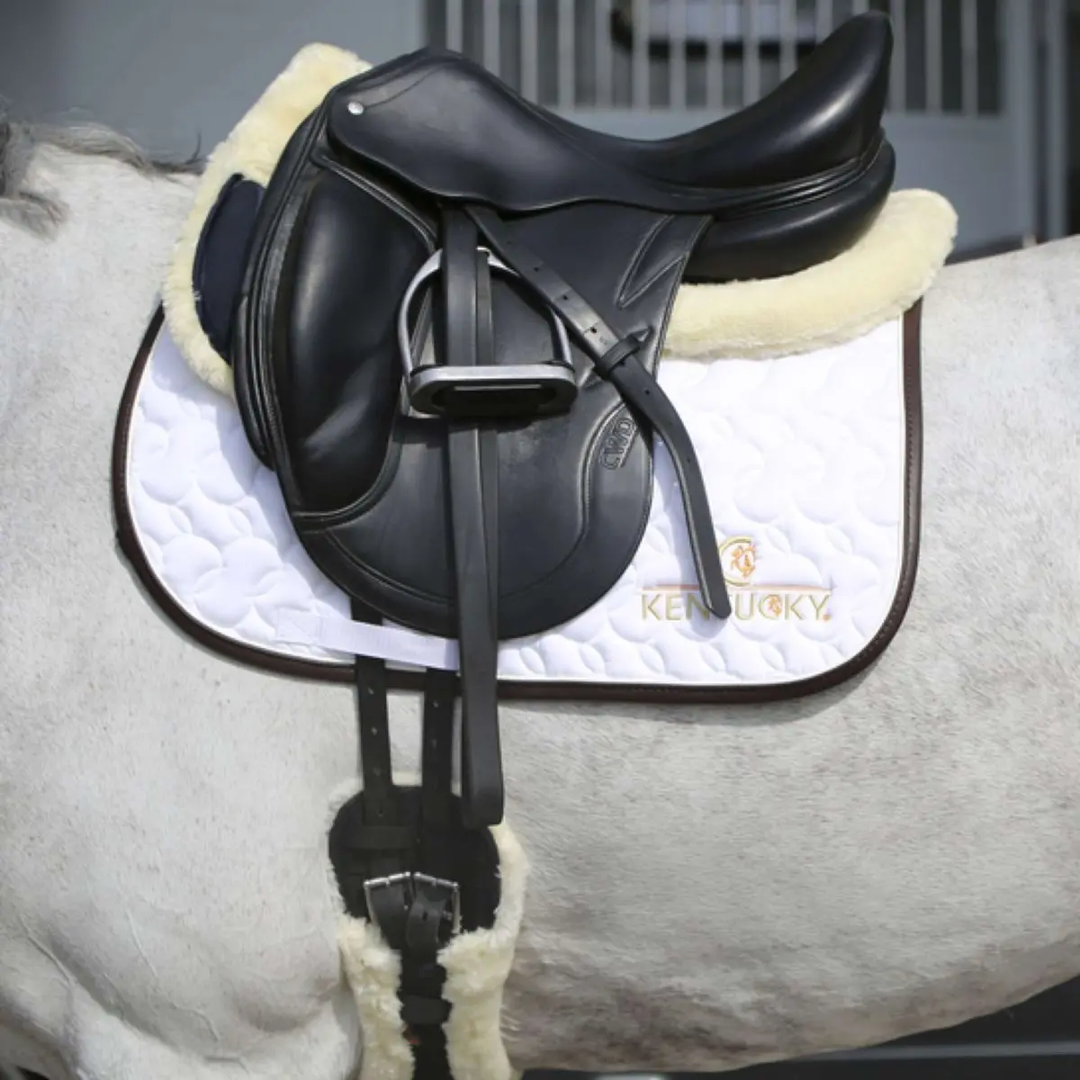 Kentucky Zadeldekje White/Brown 1