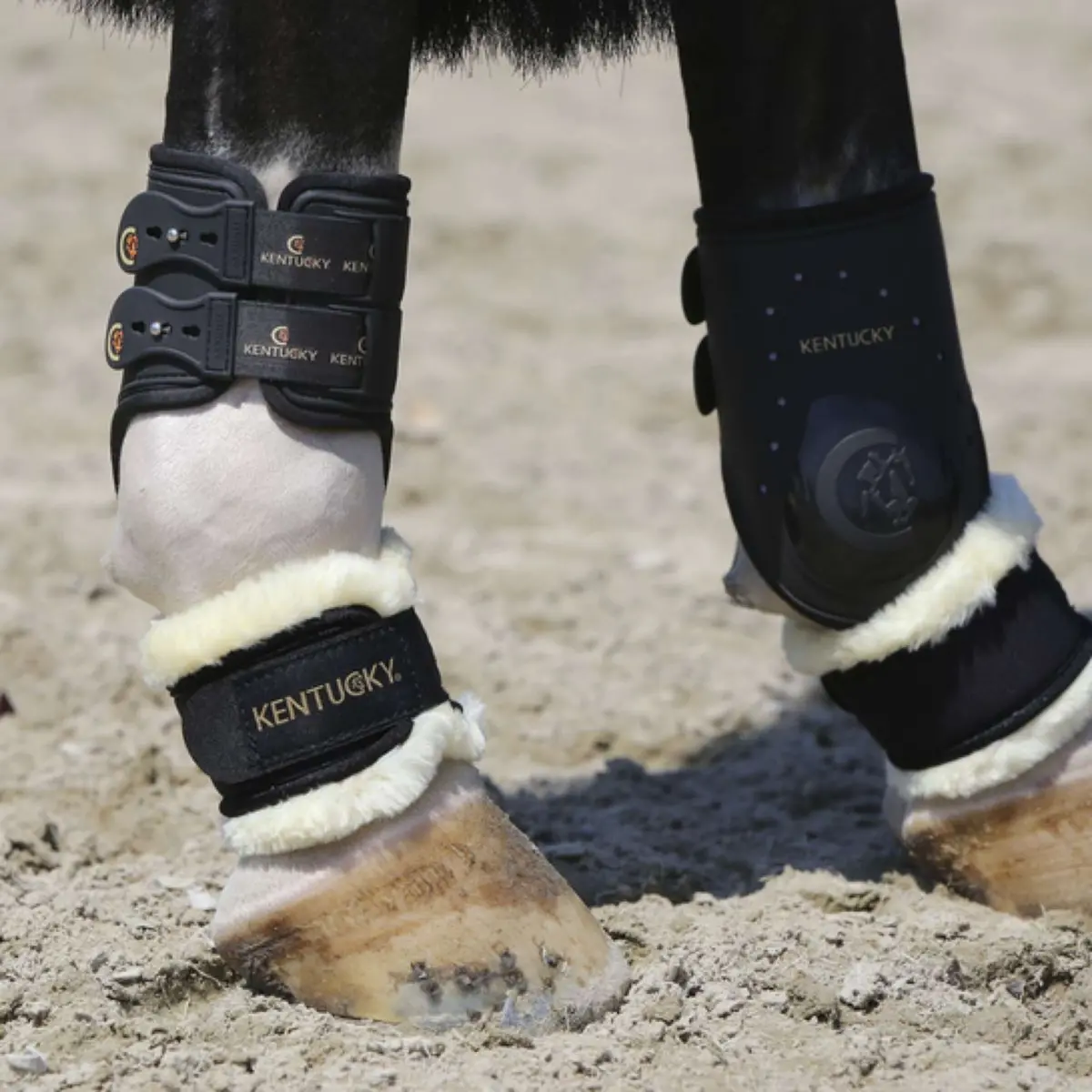 Kentucky Kootbeschermer Pastern Sheepskin 1