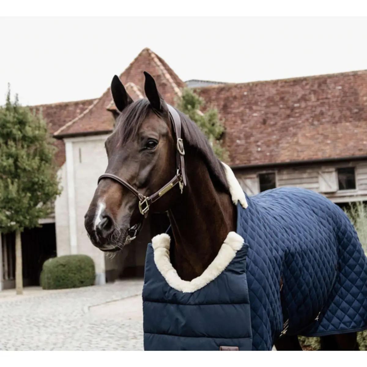 Kentucky Bib Winter Navy 1