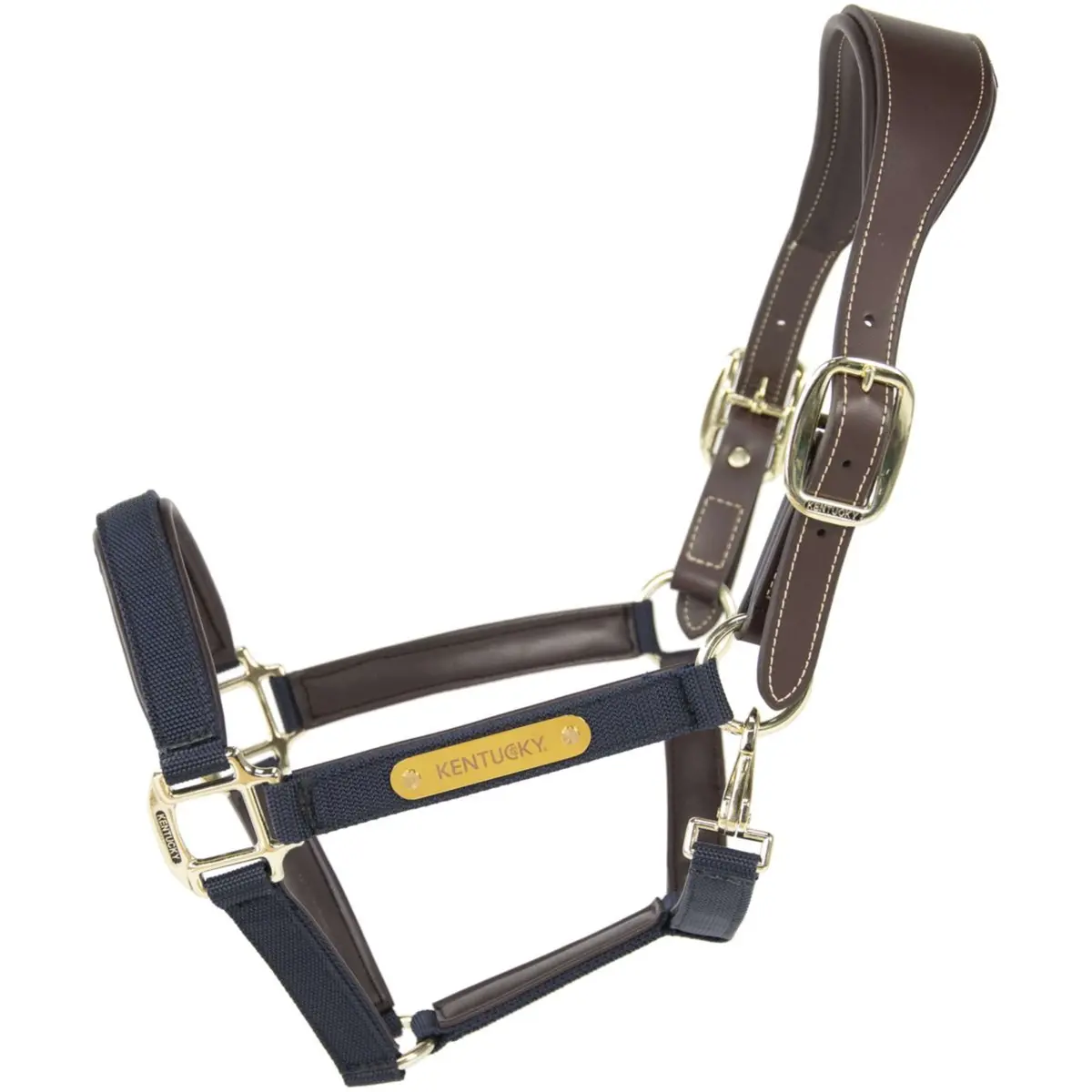 Kentucky Halster Anatomic Nylon Navy 1