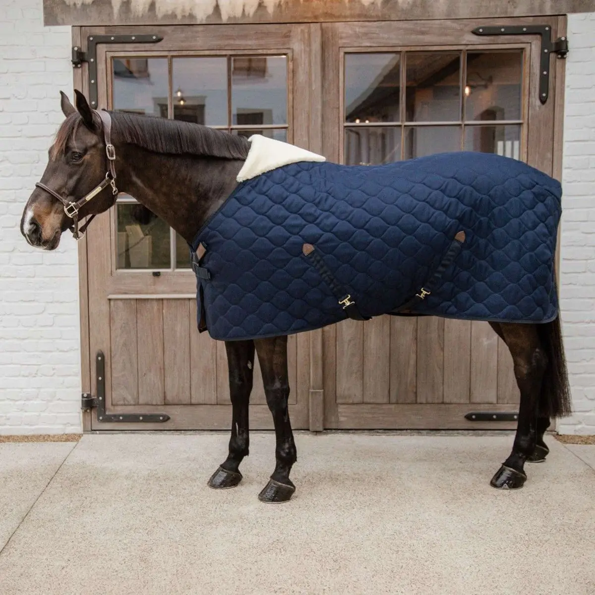Kentucky Staldeken Comfort 100G Navy 1