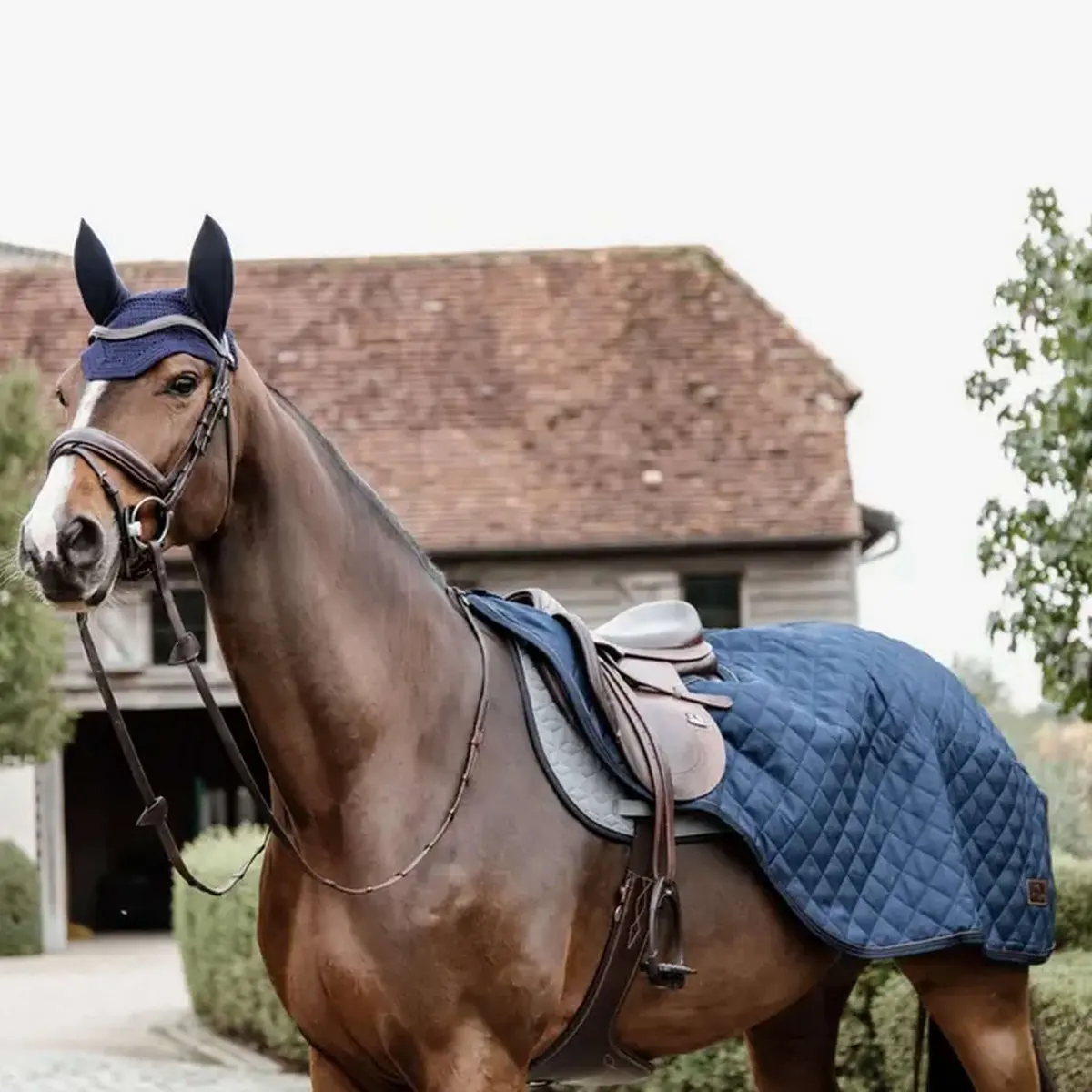 Kentucky Uitrijdeken 160G Navy 1