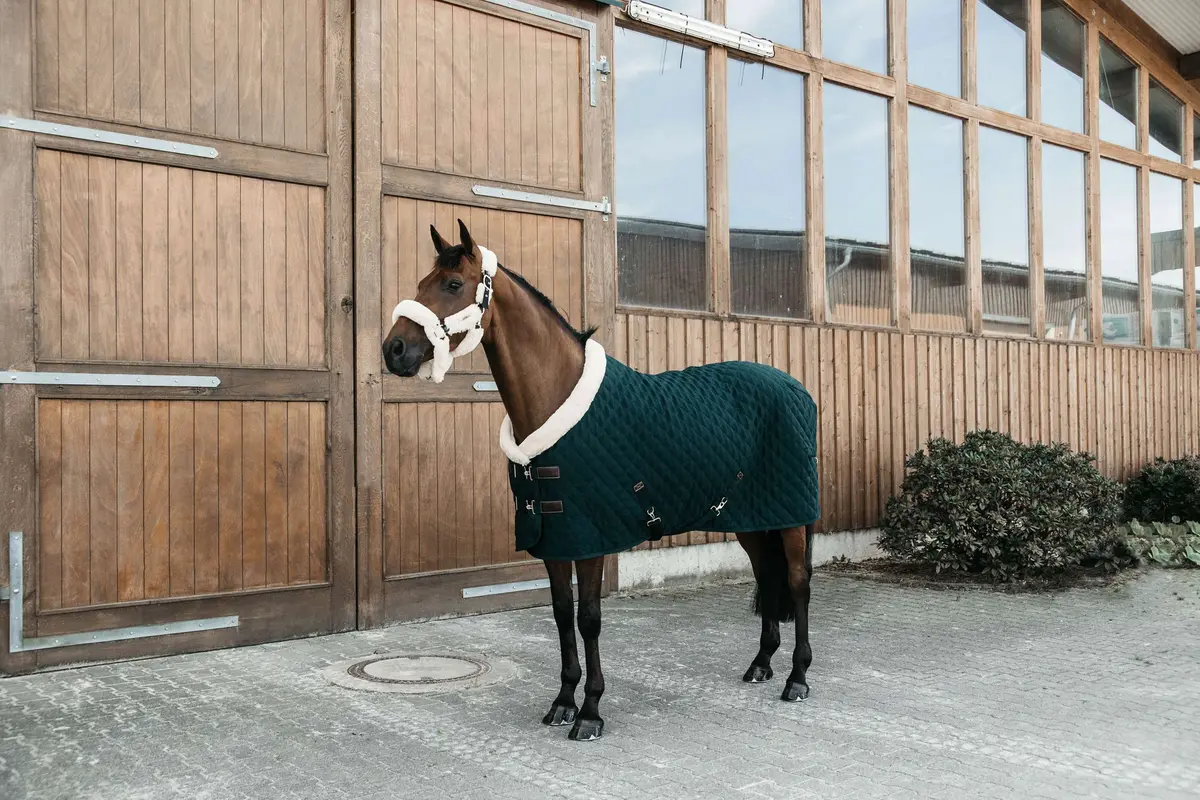 Kentucky Corduroy Pine Green 1