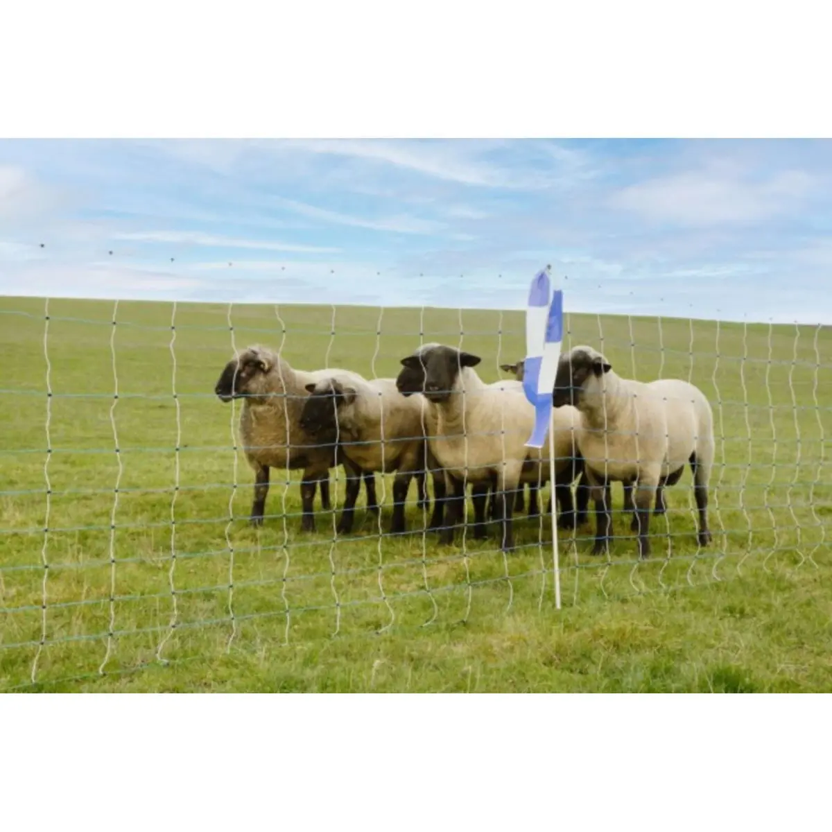 Ako Schapennet Ovinet Maxi Wit/Blauw 1