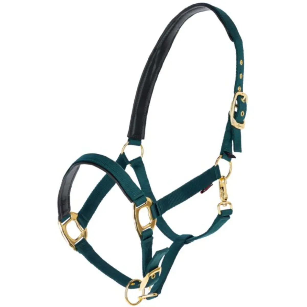 Covalliero Halster Topline Forest 1