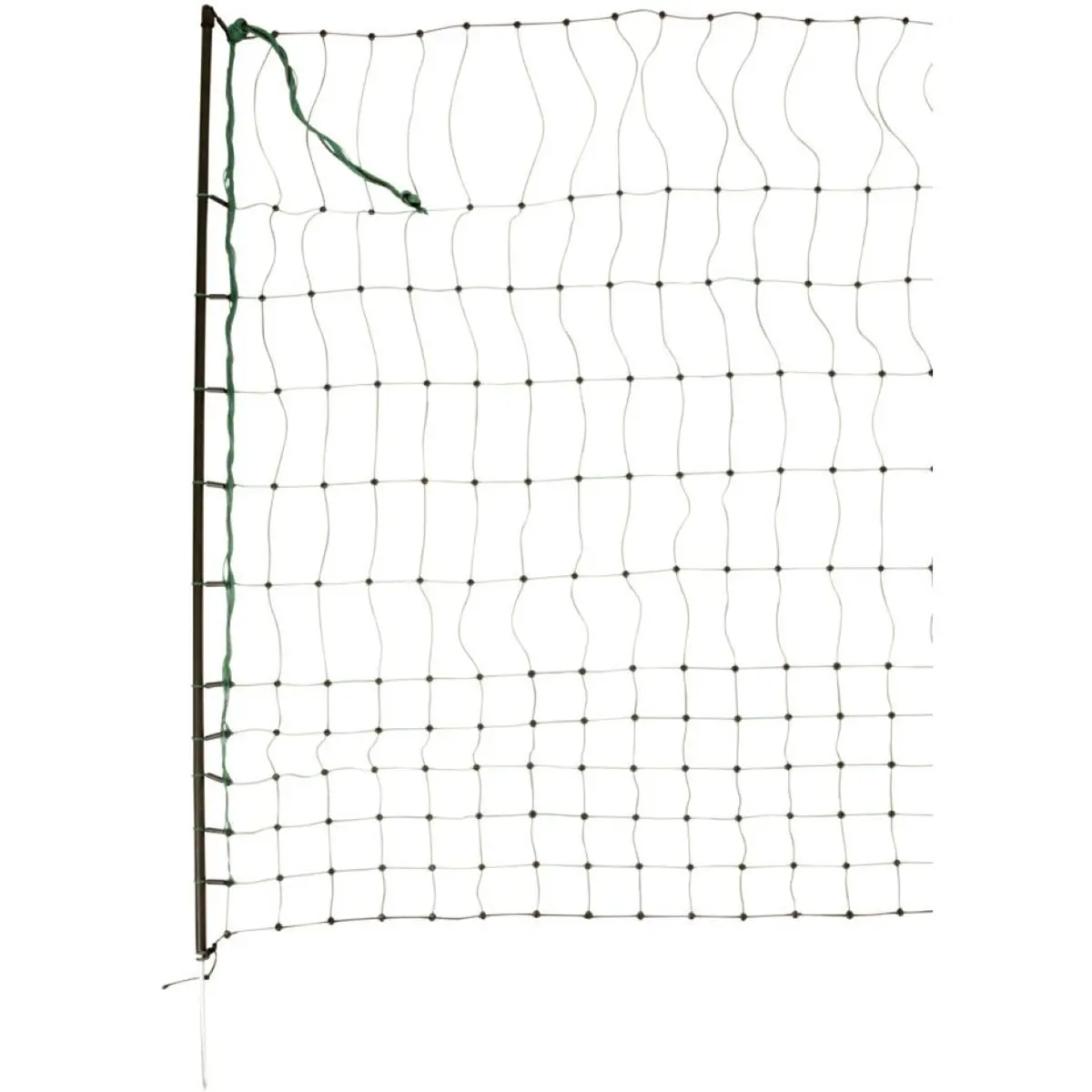 Ako Pluimveenet Enkele Pen Groen 1