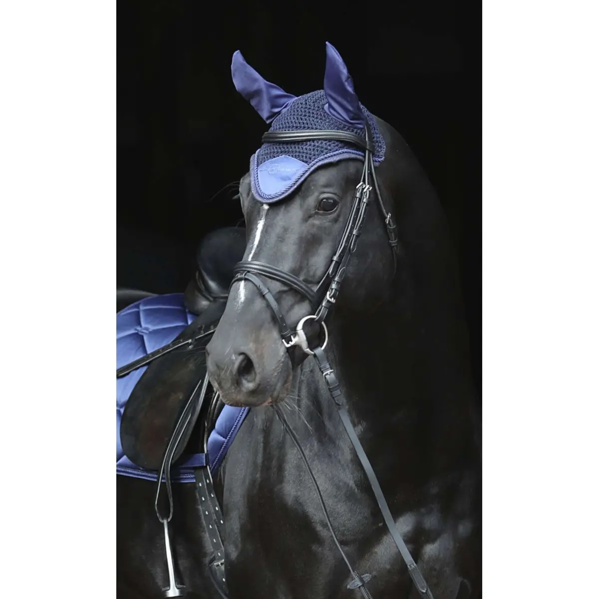 Covalliero Oornetje Empara Navy 1