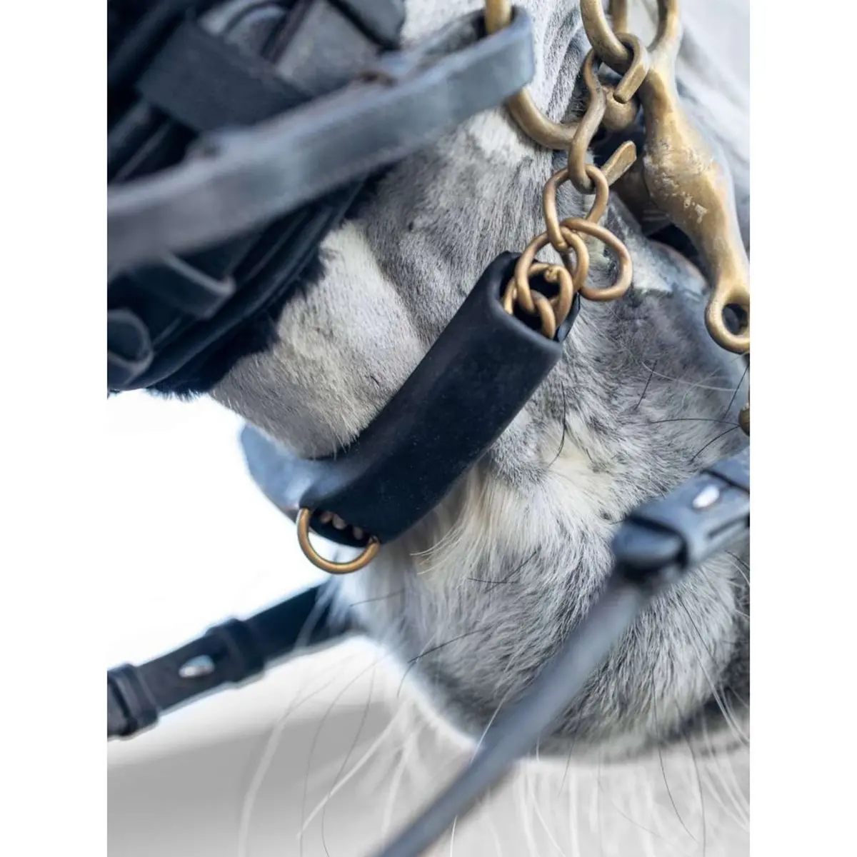 Lemieux Kinketting Guard Zwart 2
