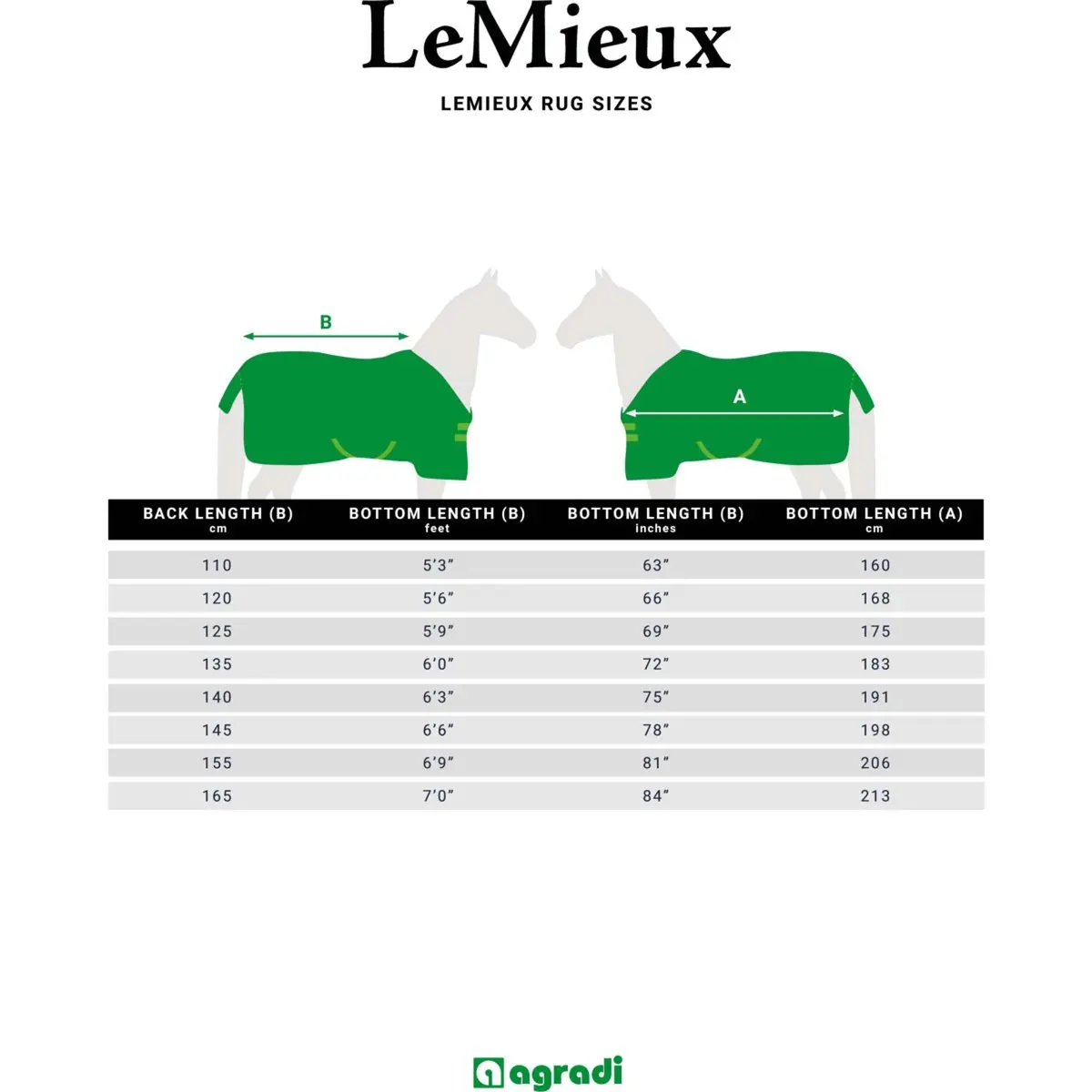 Lemieux Deken Kudos Turnout 50G Navy 3