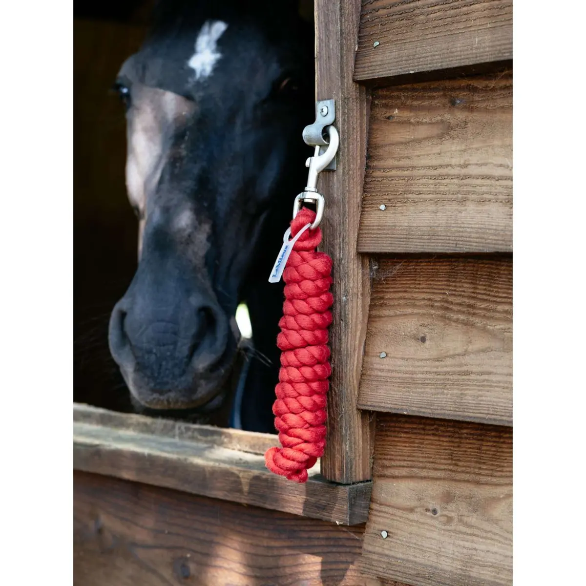 Lemieux Halstertouw Polycotton Chilli 1