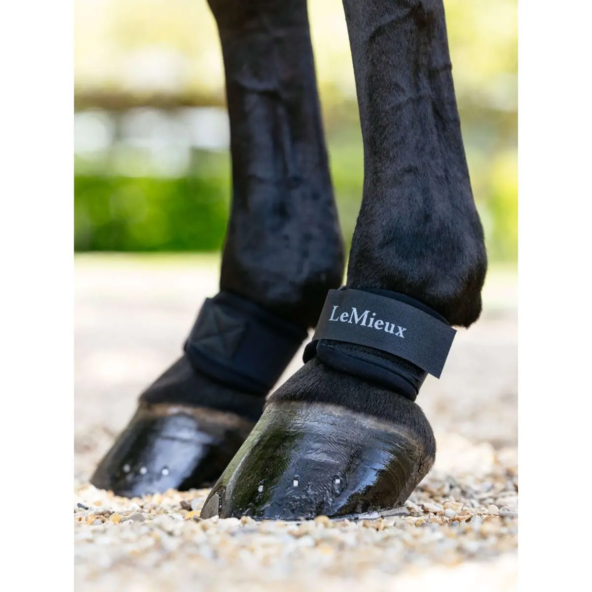 Lemieux Kootbeschermers Neoprene Zwart 1
