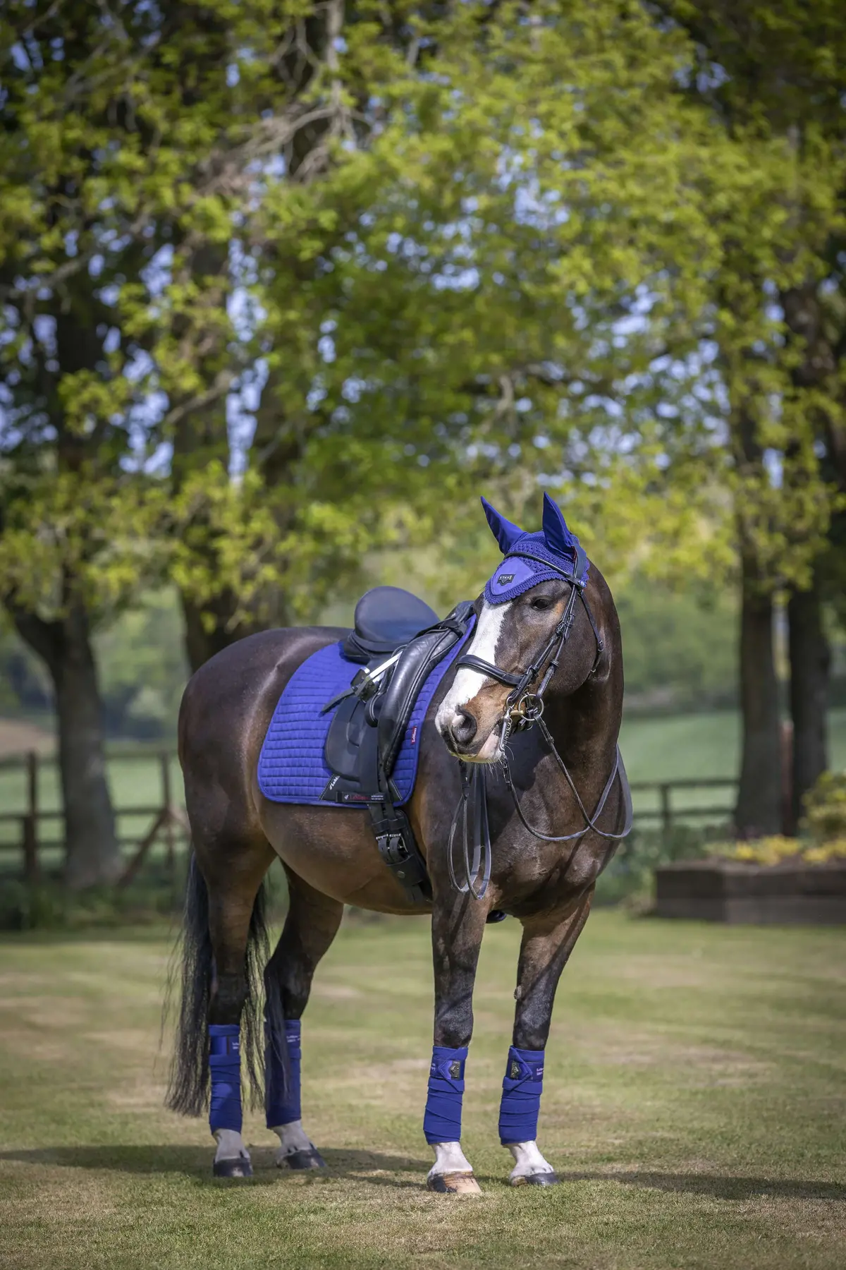 Lemieux Benetton Blue 1